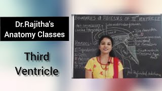 Third ventricle by DrRajitha Vanga [upl. by Gayla]