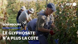 Luxembourg le glyphosate na plus la cote  AFP [upl. by Wendin]