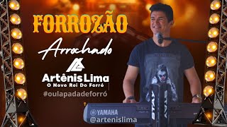 FORROZÃO ARROCHADO  ARTÊNIS LIMA [upl. by Orvie333]