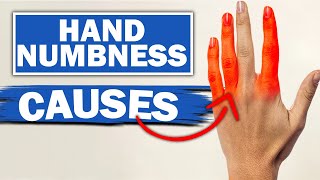 Expert Reveals MindBlowing Facts About Numbness amp Tingling In Fingers [upl. by Alra]