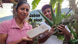 COMO PREPARAR JABON DE ALOE VERA PARA EL CABELLO [upl. by Warrick]