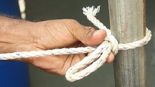 Best knots you ever seen knot camping diy [upl. by Ainaznat]