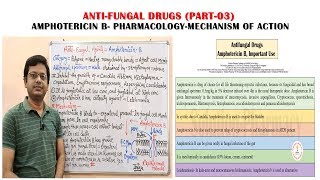 Antifungal Drugs Part03 Amphotericin B Pharmacology amp Mechanism of Action  Antifungal Medicines [upl. by Milson]