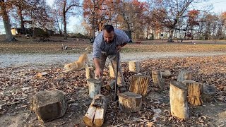 Splitting green wood vs seasoned wood sycamore [upl. by Blau515]