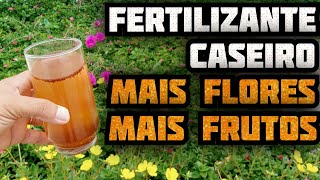 SUPER ADUBO CASEIRO para suas Plantas  Mais Flores Muito mais Frutos [upl. by Ennirroc949]