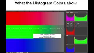 Everything you thought you wanted to know about Histograms [upl. by Olimreh762]