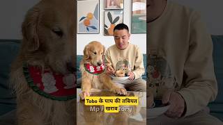 🐕Tobo के पापा की तबीयत खराब  mini wood toy  woodworking art skill  hand crafts shorts pets [upl. by Yesiad]