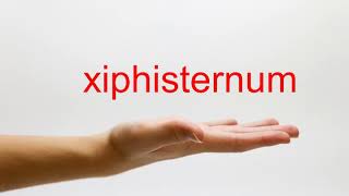 How to Pronounce xiphisternum  American English [upl. by Proulx]