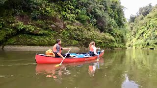 Whanganui River Journey [upl. by Alcina498]