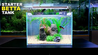 Aquascape Tutorial ULTIMATE BETTA Nano Tank For Beginners How To No co2 Planted Tank Step by Step [upl. by Pirozzo]