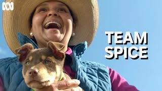 Energetic kelpie puppy Spice and Indigenous station owner CJ Scotney  Muster Dogs [upl. by Abbotsen]