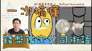 一次搞懂錢幣鑑定公司評級術語『幣藏那些事小知識』lets talk about Coin grading System＃銀元＃錢幣＃龍洋＃包漿＃當代幣＃現代幣＃古幣＃古錢＃紙幣＃金元卷＃元寶＃銀錠 [upl. by Yotal]