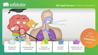 Grundfunktionen des menschlichen Körpers einfach erklärt – Sachunterricht 3 amp 4 Klasse [upl. by Alfredo]