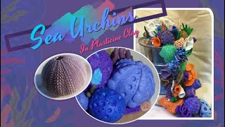 Ocean Coral Sculpture with Sea Urchins Intro and MidLevel [upl. by Leor]