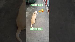 Bumili ako ng buko bantay ni dogie [upl. by Atinnek]