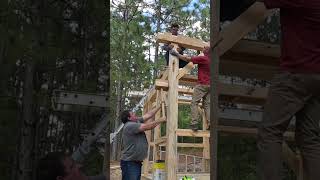 Timber Framing Kong Style [upl. by Cyrano]