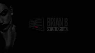 Brian B  Schattenseiten TECHNO MIX [upl. by Nehr844]