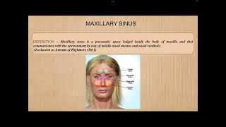 Histology of Maxillary Sinus [upl. by Ttesil]