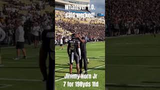 TERRELL OWENS DROPS GEMS ON JIMMY HORN JR [upl. by Einalam400]