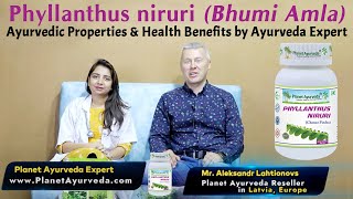 Phyllanthus niruri Bhumi Amla Ayurvedic Properties Uses Health Benefits by Ayurveda Expert [upl. by Salene]