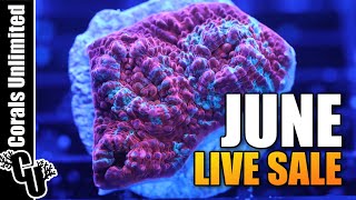 Corals Unlimited June LIVE Sale [upl. by Ailis]