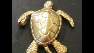 MAR 31ST  14K Golden Turtle swam into my scoop today [upl. by Inotna]