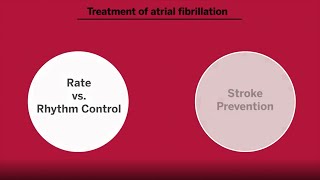 Anticoagulation in Atrial Fibrillation [upl. by Uthrop]