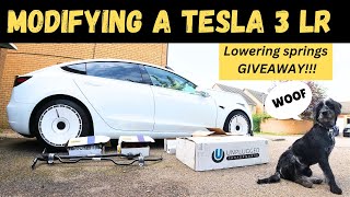 The Quest for Speed Tesla Model 3 Modification [upl. by Haididej]