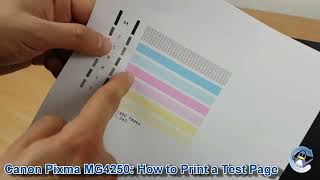 Canon Pixma MG4250 How to Print a Nozzle Check Test Page [upl. by Pren]