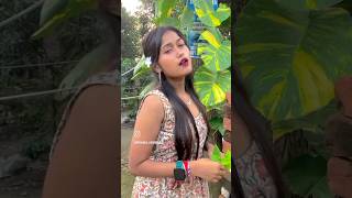 New Santali Vikas 2024  Santali Video 2024 Santali Video Song Santali Status Video 2024 shorts [upl. by Hterag172]