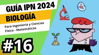 Guía IPN 2024  Biología  Pregunta 15  Área Físico  Matemática [upl. by Durst408]