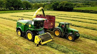 CHOPPING FIRST CUT SILAGE [upl. by Rapsag]