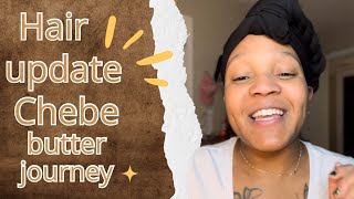 Chebe hair growth journey strengthening day 14 of 60 haircare naturalhair [upl. by Anelim]