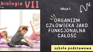 Biologia 7 Lekcja 1  Organizm człowieka jako funkcjonalna całość [upl. by Hgielah705]