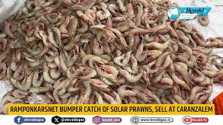 Ramponkarsnet Bumper Catch of Solar Prawns sell at Caranzalem [upl. by Angelia]