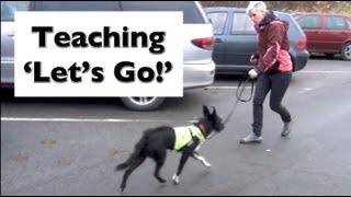 How to stop your dog lunging and barking Train Lets Go shy reactive dogs [upl. by Bokaj]