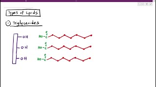 215 Lipids [upl. by Adiesirb]