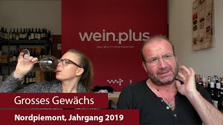 Nachproben 2024  Nordpiemont Jahrgang 2019 [upl. by Annavaj]