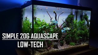 20 GALLON AQUASCAPE TUTORIAL  Easy simple aquarium [upl. by Lewan]