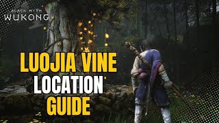 Luojia Vine Location Guide  Chapter 4 Purple Cloud Mountain  Black Myth Wukong [upl. by Dahlia]