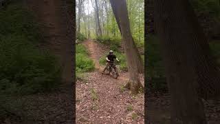 MTB Crash Into A tree 😲 [upl. by Lien]