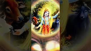 Kanajilove song music lyrics hindi mallikasingh radharani vrindavan haribol radheradhe [upl. by Odnomra]