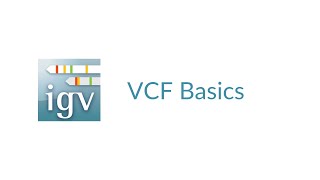 IGV  VCF Basics  VCF File Explanation amp Viewing in IGV [upl. by Davis]