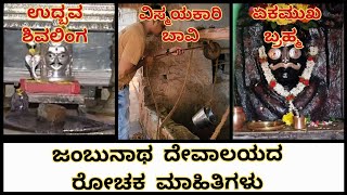 Jambunatha Temple Renovation ಪೌರಾಣಿಕ ಹಾಗು ಐತಿಹಾಸಿಕ ಮಹತ್ವವುಳ್ಳ ದೇವಾಲಯದ ಜೀರ್ಣೋದ್ಧಾರ [upl. by Sadiras]