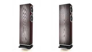 Fyne Audio F501  Dark Oak [upl. by Moneta]