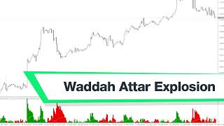 Waddah Attar Explosion Forex Indicator MT4  Best Review For 2 Minutes [upl. by Aisiram985]