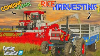 Rice Harvesting🌾 Fs22  Tractor Combine Fs22 With Link  Fs22 Indian Tractor Mod [upl. by Alhan]