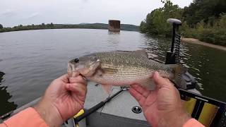 Some fish on the Yamaga Blanks Blue Current TZ 610 UL rod [upl. by Ogait]