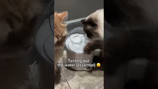 Extra 15 off CATLINK Pure 2 Water Fountain [upl. by Ile639]