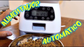 Alimentador Automatico para Cães e Gatos [upl. by Aneeuqahs]